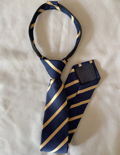 Navy & Gold Stripe Zipper Tie